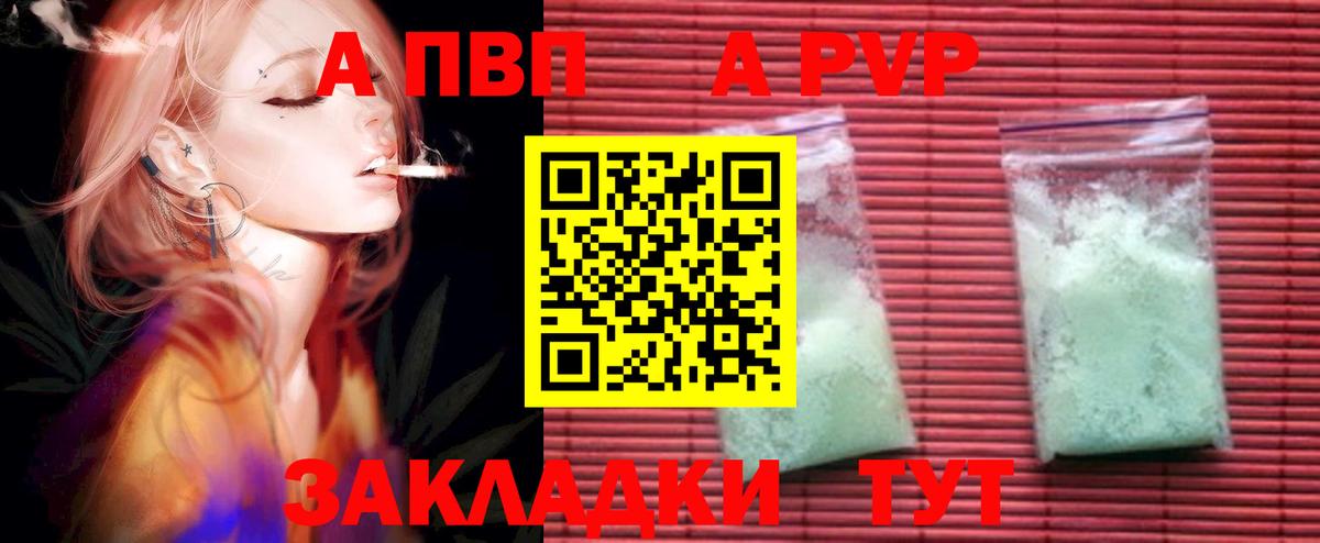 Альфа ПВП СК КРИС Железноводск