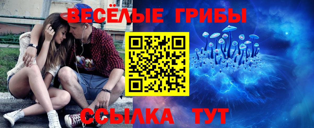 где продают   Галлюциногенные грибы GOLDEN TEACHER  Вход с VPN  Железноводск 